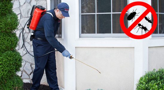 Çamardı Gümüşkurt İlaçlama böcek ilaçlama ve haşere kontrolü — ilaclama-tr.com